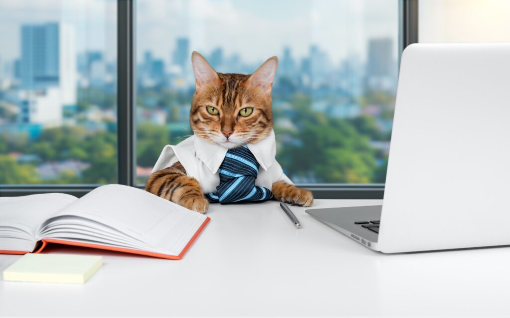 The,Bengal,Cat,Is,A,Businessman,Or,Office,Worker.,Cat